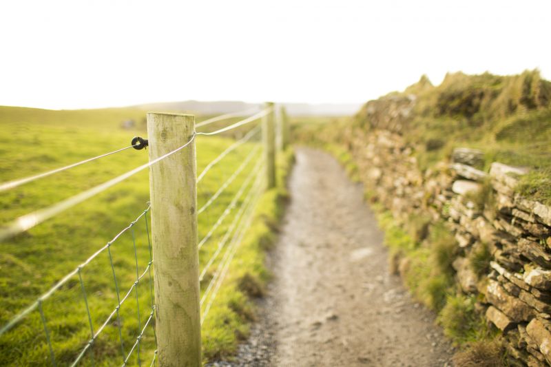 Fence Post Replacement